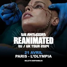 DIE ANTWOORD