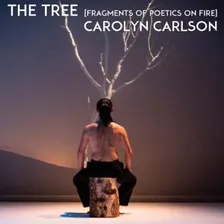 Carolyn Carlson
