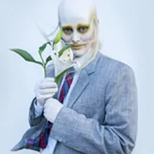 FEVER RAY